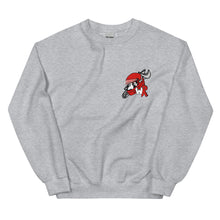 Load image into Gallery viewer, uw racing crewneck