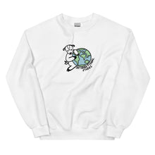 Load image into Gallery viewer, international studies crewneck