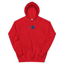 Load image into Gallery viewer, depol demons hoodie