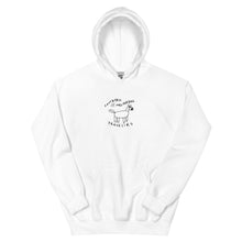 Load image into Gallery viewer, southie california travelers hoodie