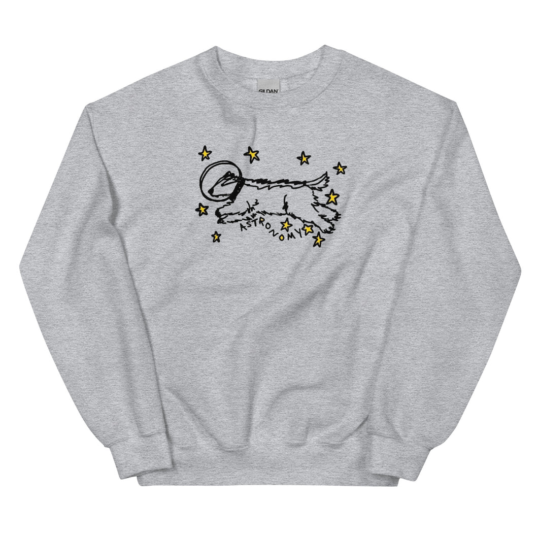 astronomy crewneck