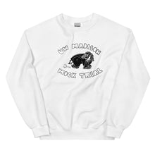 Load image into Gallery viewer, uw mock trial crewneck
